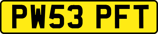 PW53PFT