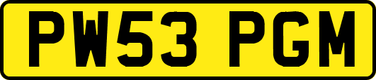 PW53PGM