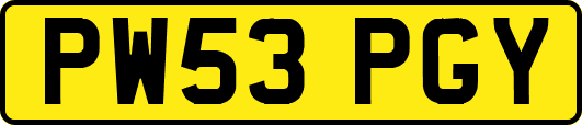 PW53PGY