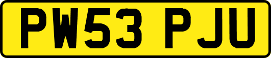 PW53PJU
