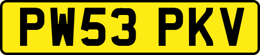 PW53PKV
