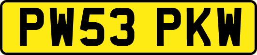 PW53PKW