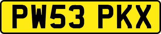 PW53PKX