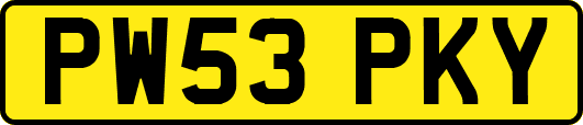 PW53PKY