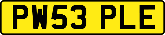 PW53PLE