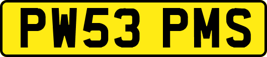 PW53PMS