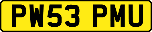 PW53PMU