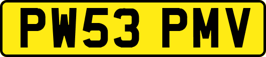 PW53PMV