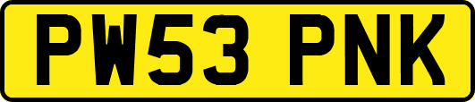 PW53PNK