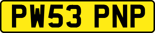 PW53PNP