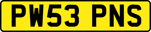 PW53PNS