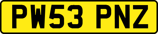 PW53PNZ
