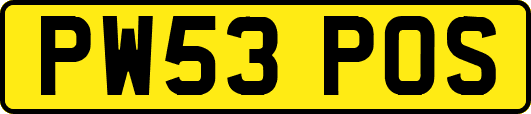 PW53POS