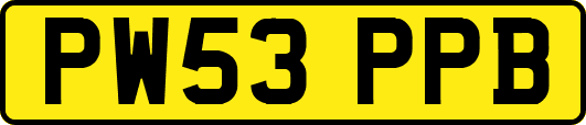PW53PPB