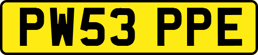 PW53PPE
