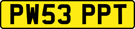 PW53PPT