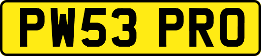 PW53PRO