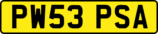 PW53PSA