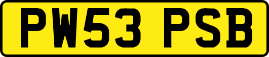 PW53PSB