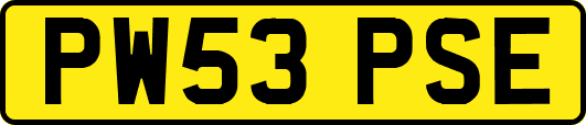 PW53PSE