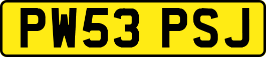 PW53PSJ