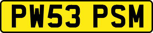 PW53PSM