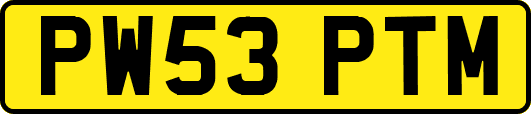 PW53PTM