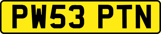 PW53PTN