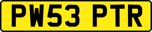 PW53PTR