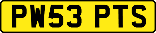 PW53PTS