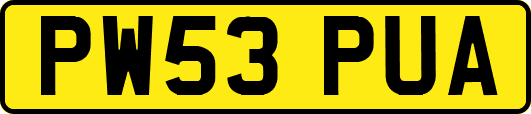 PW53PUA