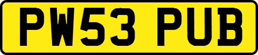 PW53PUB