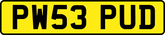 PW53PUD