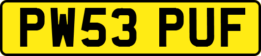 PW53PUF