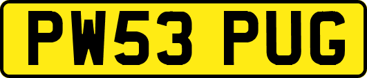 PW53PUG
