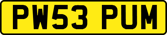 PW53PUM