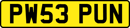 PW53PUN