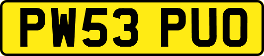PW53PUO