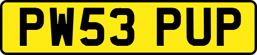 PW53PUP
