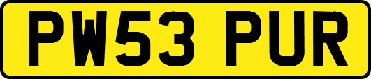 PW53PUR