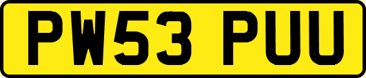 PW53PUU