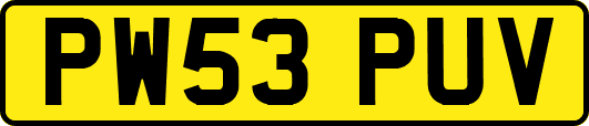 PW53PUV
