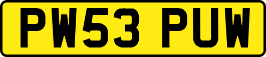 PW53PUW