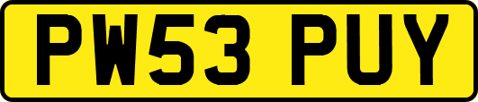 PW53PUY