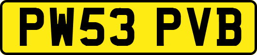PW53PVB