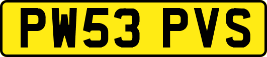 PW53PVS