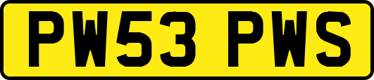 PW53PWS