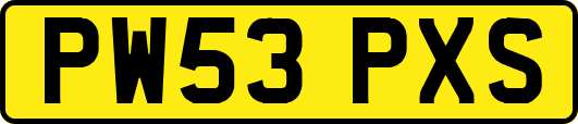 PW53PXS