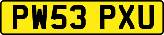 PW53PXU