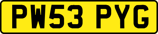 PW53PYG